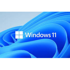 ويندوز 11